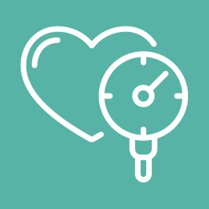 Holter Pressorio 24H